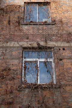 老房子窗户