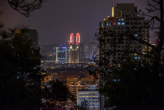 厦门经济特区世贸双子塔夜景