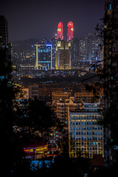 厦门经济特区世贸双子塔夜景