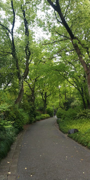 上海植物园