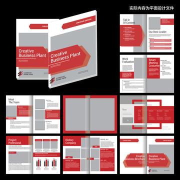 红色集团画册cdr设计模板