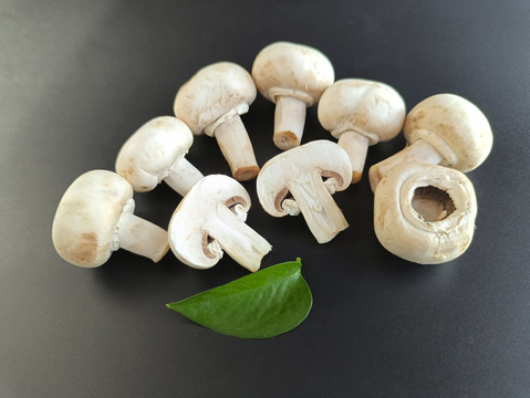 绿叶白蘑菇