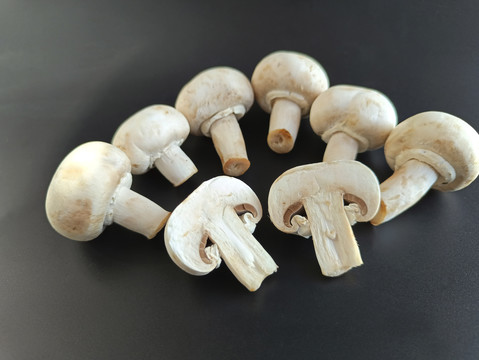 食材菌类蘑菇