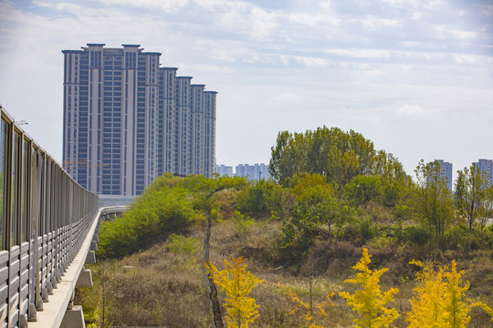 高层住宅建筑