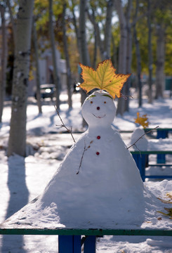 校园里的雪人