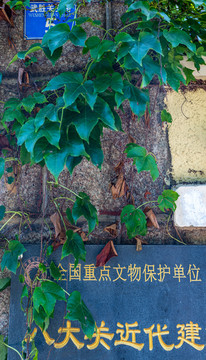 青岛八大关风景区