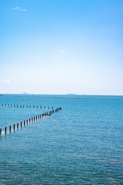 青岛八大关风景区海边风光