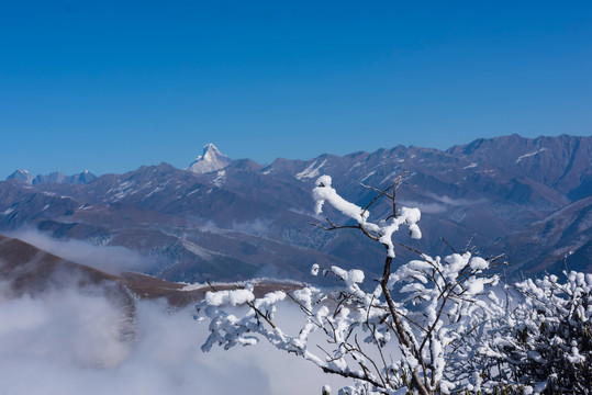 达瓦更扎雪景