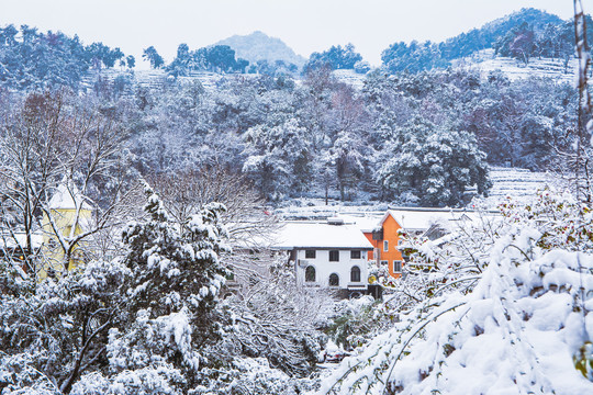 西湖龍井村雪景
