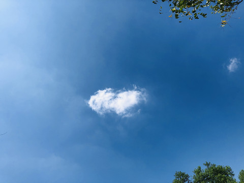 一朵云