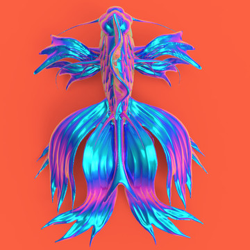 鯉魚插畫