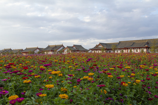 长春北湖花海