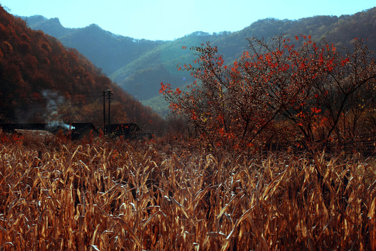 美丽的小山村