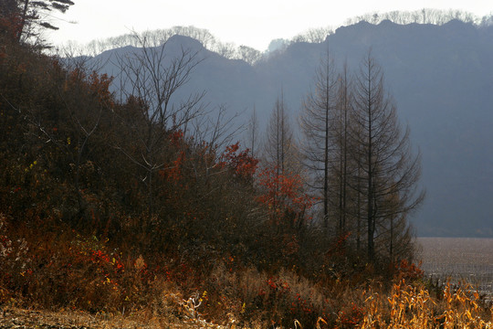 美丽的小山村