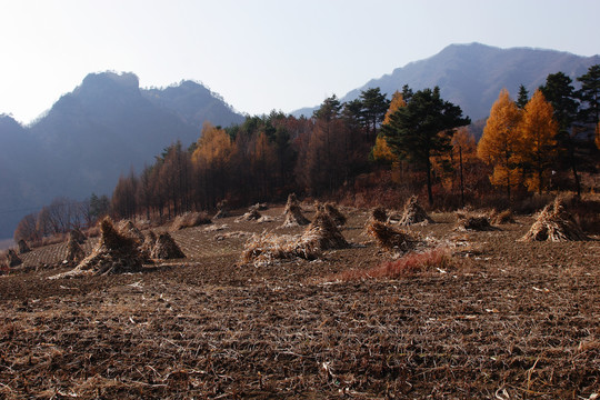 美丽的小山村