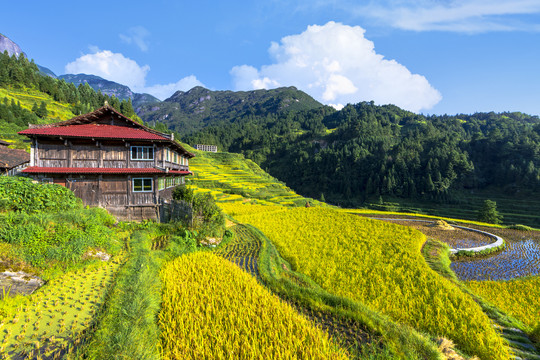 山区梯田苗寨