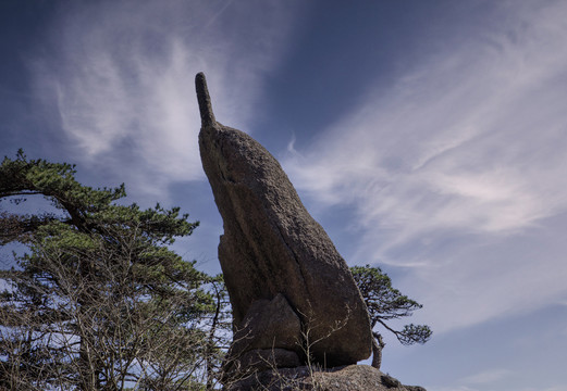 黄山手机形状天线