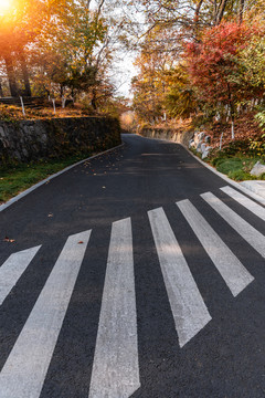 秋天中国南京栖霞山的枫树道路