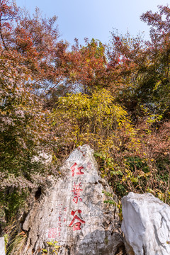 秋天中国南京栖霞山的红叶谷秋景