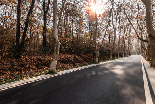 中国南京中山陵的树林道路背景