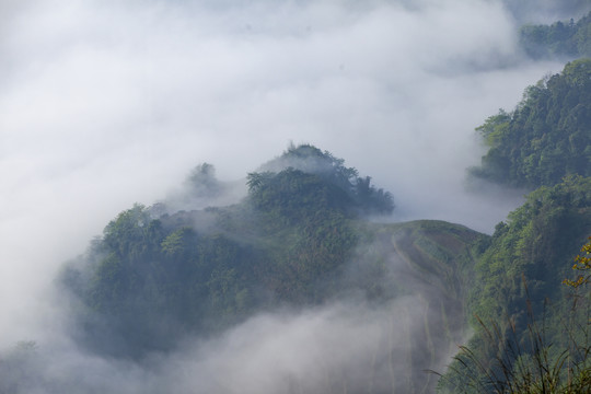 雾色山峦