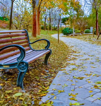 城市花园中的弯曲小路