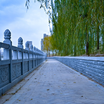 湖边垂柳青石栏杆与小路