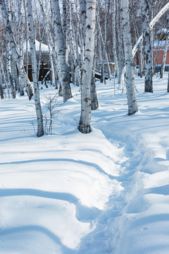 冬季雪地小路白桦林