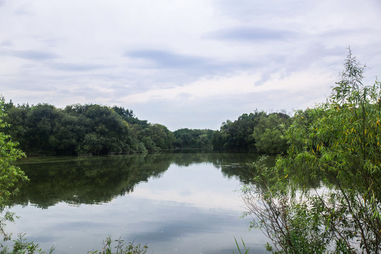 杭州西溪湿地