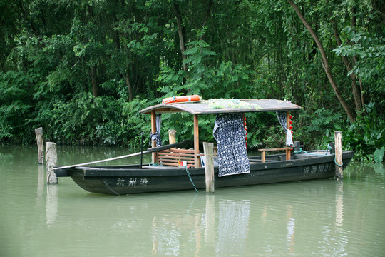 杭州西溪湿地