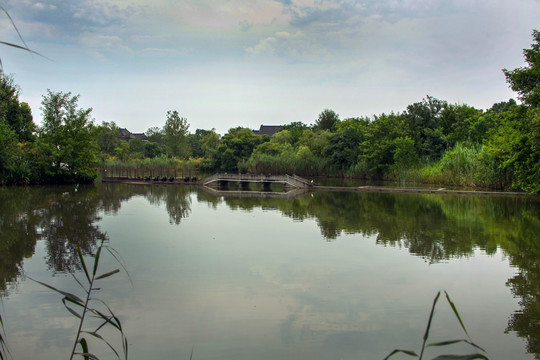 杭州西溪湿地