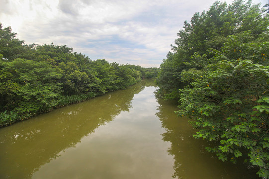 杭州西溪湿地