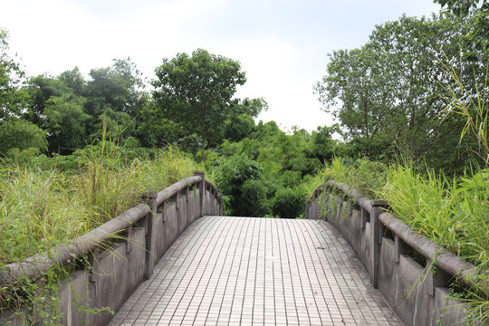 华南植物园桥