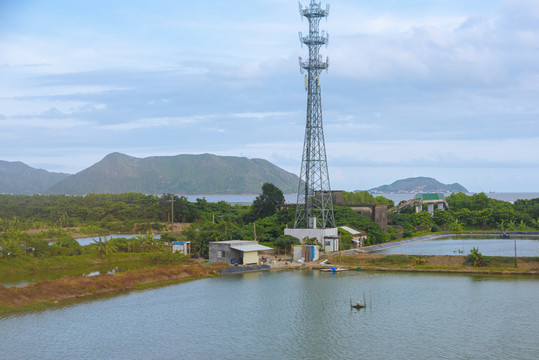 田野