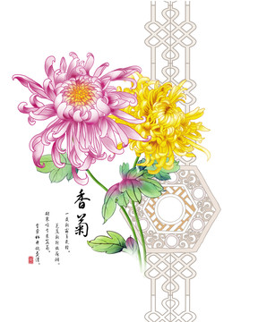 菊