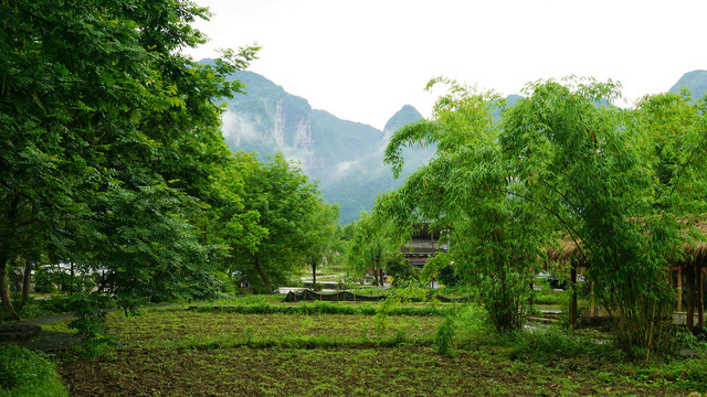 土家第一村云舍