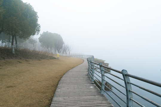 湖景