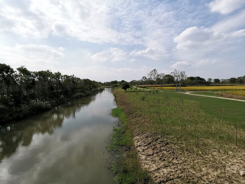 江南田园风光