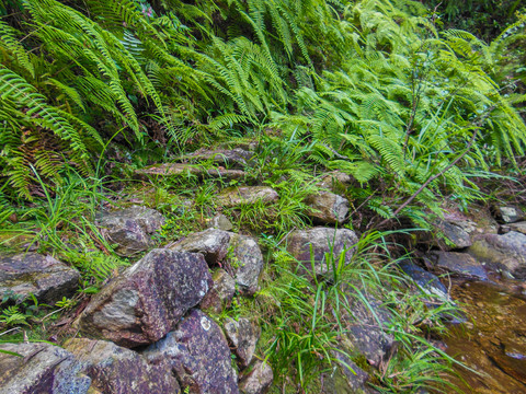 瑞安双对坑峡谷