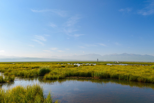 花湖