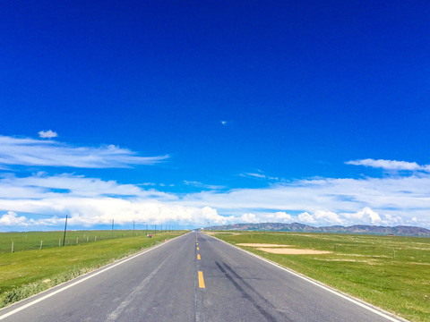 青海草原公路