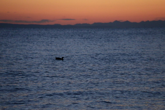 湖面夕阳落日