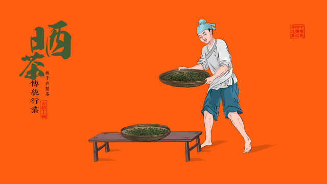 茶叶制作流程传统手艺插画