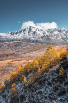 川西的高原雪山