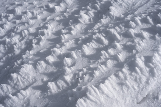 冬季雪地