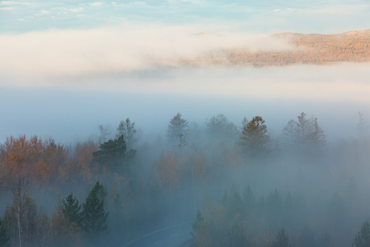 秋季清晨森林云雾