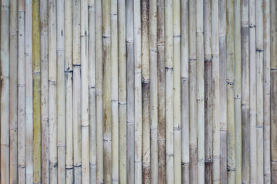竹子竹竿拼接的墙壁