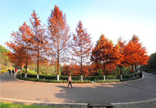 重庆金山公园步道