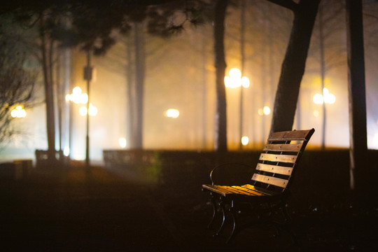 晨雾灯光下树林中的长椅