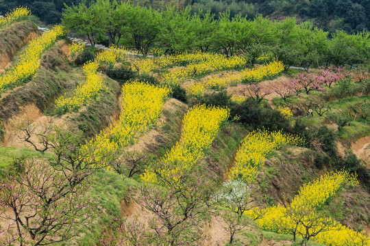 杭州桐庐阳山畈